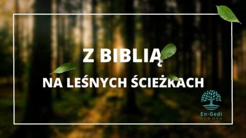 Z Biblią na lesnych ścieżkach - krótkie rozważania biblijne w plenerze