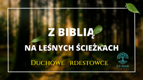Duchowe rdestowce - Z BIblią na leśnych ścieżkach